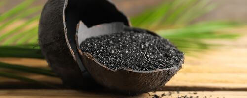 coconut shell activated carbon supplier