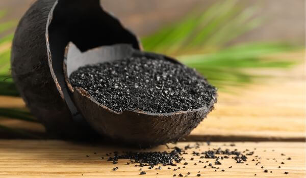 coconut activated carbon price