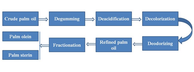 процесс производства пальмового масла 1
