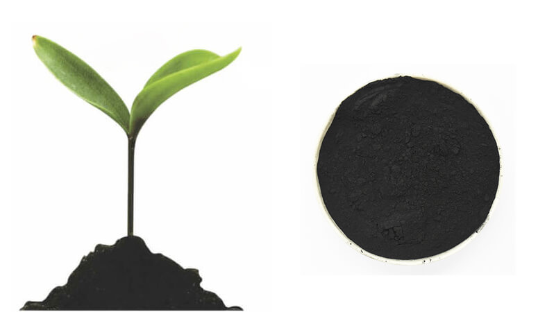 charbon actif pour le sol 1